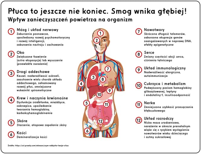 Czy smog powoduje rozwój astmy u dzieci? Oto niepokojące fakty Czy smog powoduje rozwój astmy u dzieci? Oto niepokojące fakty